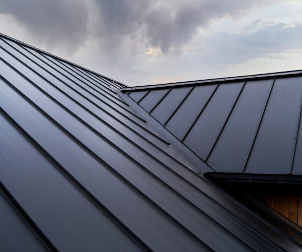 Metal Roofing The Premier Choice for Coastal Durability